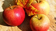 ilustrační obrázek k článku Podzimní kompot z jablek